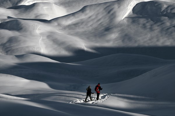 Snowshoe hiking in the Beverin nature park Park, Graubuenden, Switzerland, Europe