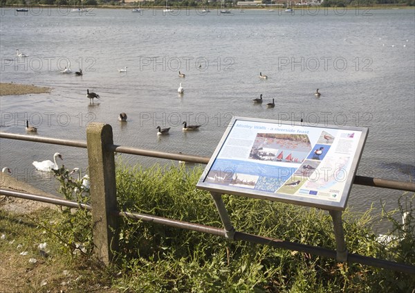 Information notice board for the River Stour estuary at Mistley Walls, Mistley, Essex, England, United Kingdom, Europe