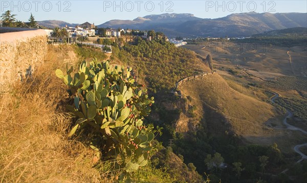 Historic buildings perched on sheer cliff top in Ronda, Spain, Europe