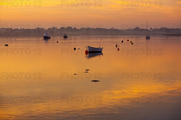 Boats at moorings River Deben in golden light of winter sunset, Ramsholt, Suffolk, England, United Kingdom, Europe