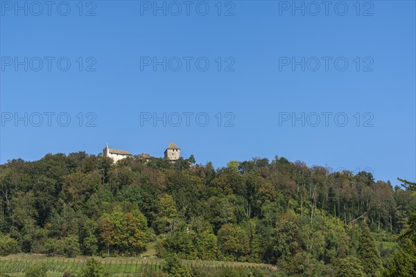 Stein am Rhein, Hohenklingen Castle, mountain, vineyard slope, blue sky, Canton Schaffhausen, Switzerland, Europe