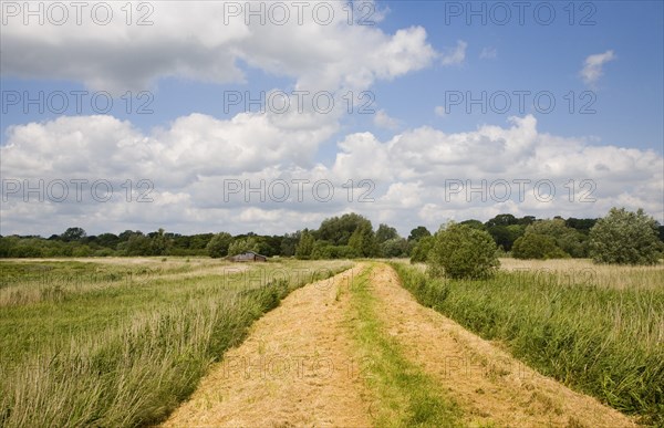 Riverside path Castle mill and marshes in the River Waveney flood plain, near Barnby, Suffolk, England, United Kingdom, Europe