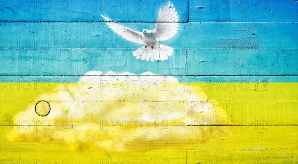 Dove of peace on a concrete wall in the colours of the Ukrainian flag