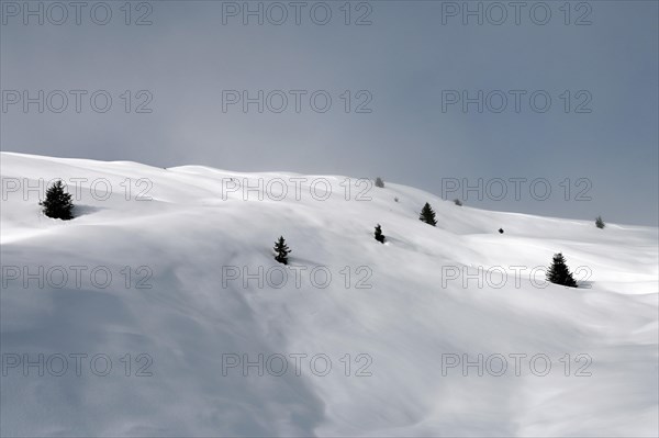 Winter landscape in the Beverin nature park Park, Graubuenden, Switzerland, Europe