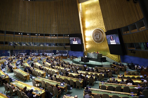 Plenary session of the United Nations General Assembly on 'AeRThe situation in the temporarily 'AeRoccupied territories of Ukraine in New York, 24 February 2024. Annalena Baerbock (Alliance 90/The Greens), Federal Foreign Minister, travels to New York to mark the anniversary of the attack on Ukraine. Photographed on behalf of the Federal Foreign Office