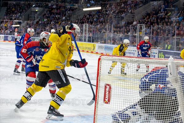 23.02.2024, DEL, German Ice Hockey League, 48th matchday) : Adler Mannheim (yellow jerseys) against Nuremberg Ice Tigers (blue jerseys) . Dangerous situation in front of the Nuremberg Ice Tigers goal