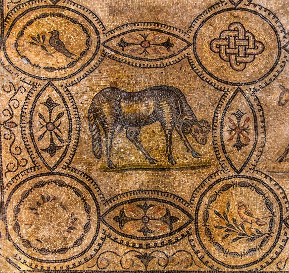 Basilica of Aquileia from the 11th century, largest floor mosaic of the Western Roman Empire, UNESCO World Heritage Site, important city in the Roman Empire, Friuli, Italy, Aquileia, Friuli, Italy, Europe