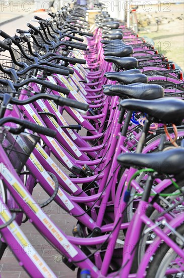 Rental bikes, Stazione Centrale di S. Maria Novella, Florence, Tuscany, Italy, Europe