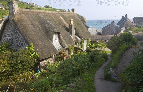 Thatched cottages in the historic and attractive fishing village of Cadgwith Cobve on the Lizard Peninsula, Cornwall, England, United Kingdom, Europe