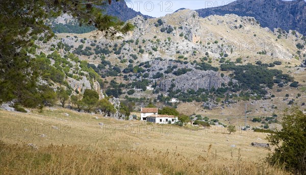 Landscape in Sierra de Grazalema natural park, Cadiz province, Spain, Europe