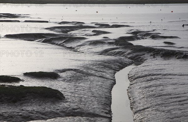 Winter overcast landscape of the River Deben at low tide in late afternoon, Ramsholt, Suffolk, England, United Kingdom, Europe