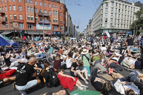 Mass die In, at the Official Animal Rights March demo at Rosenthaler Platz in Berlin. The Animal Rights March is a demonstration of the vegan community for animal protection and animal rights, 25 August 2019