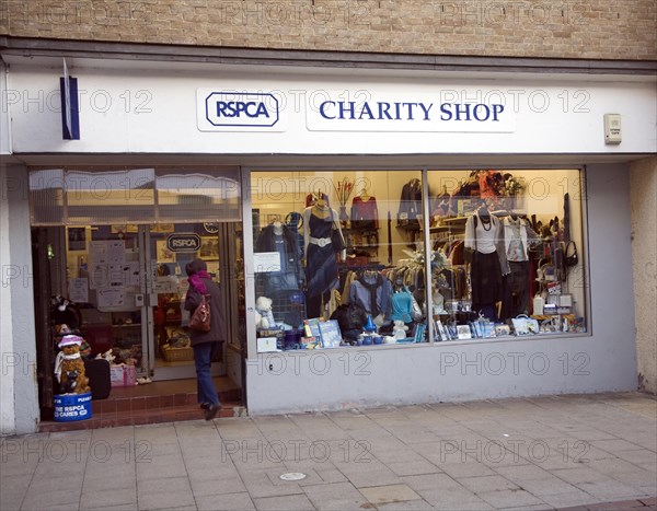 RSPCA charity shop, Ipswich