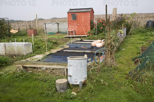 Allotment garden and shed, Shottisham, Suffolk, England, United Kingdom, Europe