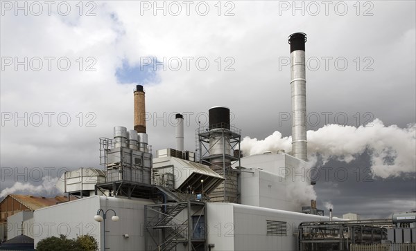 Steam rising from chimneys as sugar beet is processed at the British Sugar factory, Bury St Edmunds, Suffolk, England, United Kingdom, Europe