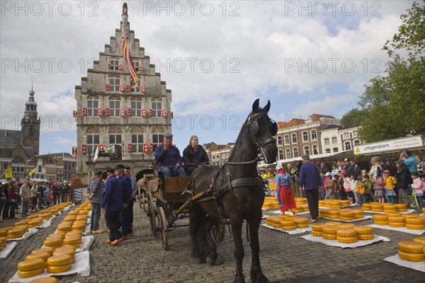 Gouda and cheese market, South Holland, Netherlands