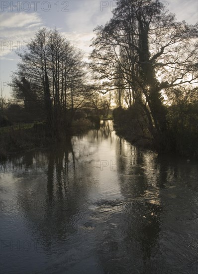 Winter landscape trees and water with low sun in sky River Deben, Ufford, Suffolk, England, United Kingdom, Europe