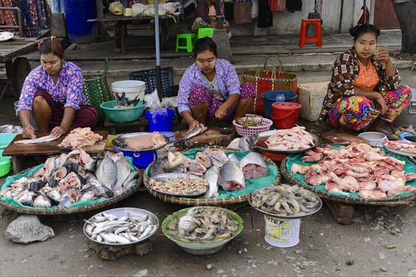 Local woman selling fish, near Bagan, Mandalay Division, Myanmar, Asia