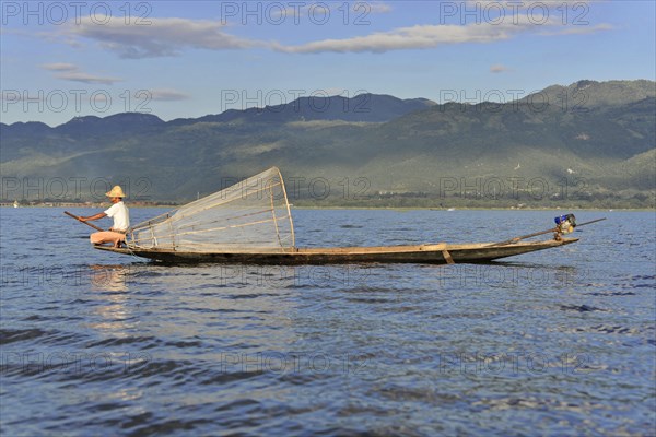 Intha fisherman, local man fishing with traditional conical fishing net, Inle Lake, Burma, Myanmar, Asia