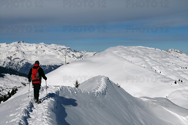 Snowshoe hiking in the Beverin nature park Park, Graubuenden, Switzerland, Europe