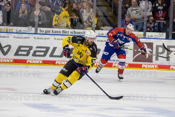 23.02.2024, DEL, German Ice Hockey League, 48th matchday) : Adler Mannheim (yellow jerseys) against Nuremberg Ice Tigers (blue jerseys) . Joran Murray (8, Adler Mannheim) on his way to the opponent's goal