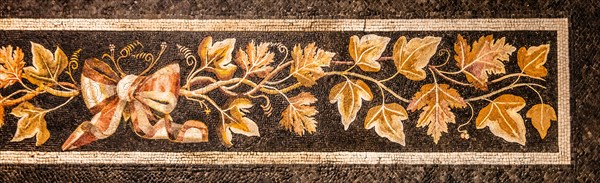 Mosaic depicting vine leaves, National Archaeological Museum, Villa Cassis Faraone, UNESCO World Heritage Site, important city in the Roman Empire, Friuli, Italy, Aquileia, Friuli, Italy, Europe