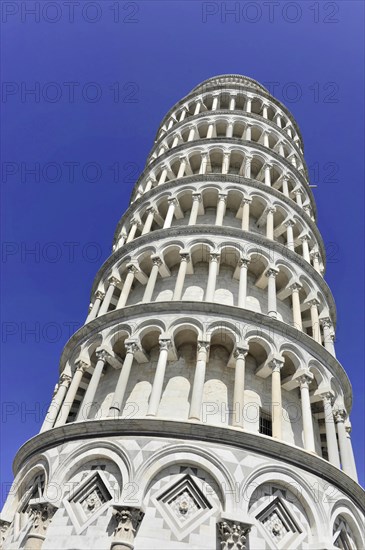 Detail, Leaning Tower of Pisa, Torre Pendente, UNESCO World Heritage Site, Pisa, Tuscany, Italy, Europe