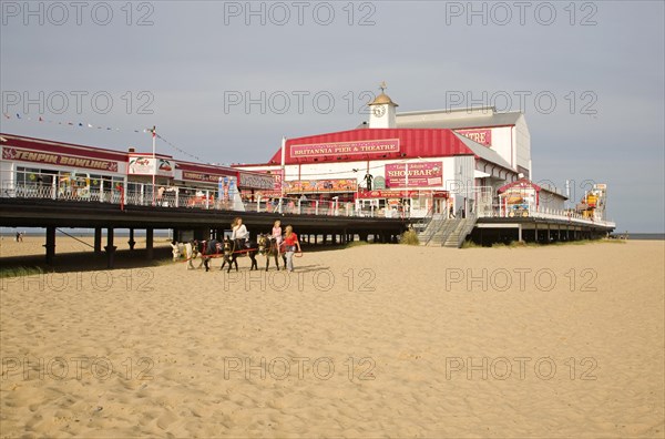 Donkey rides on sandy beach at Great Yarmouth, Norfolk, England, United Kingdom, Europe