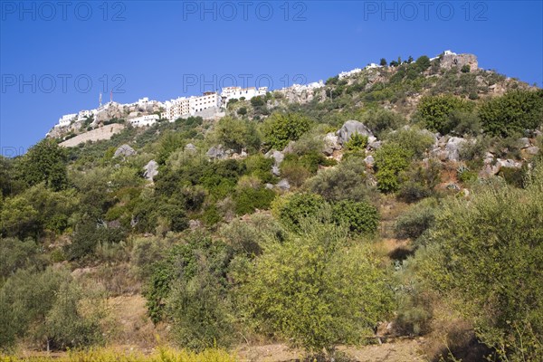 Countryside and fields near the hilltop Andalusian village of Comares, Malaga province, Spain, Europe