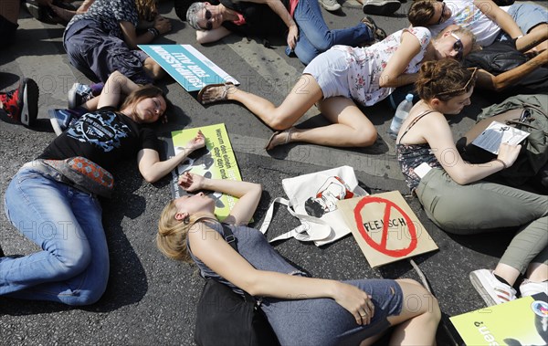 Mass die In, at the Official Animal Rights March demo at Rosenthaler Platz in Berlin. The Animal Rights March is a demonstration of the vegan community for animal protection and animal rights, 25 August 2019