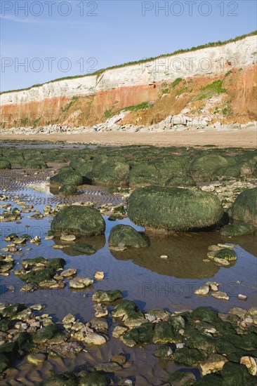 Chalk, red chalk and carstone form striped cliffs of white, red and orange at Hunstanton, Norfolk, England, United Kingdom, Europe