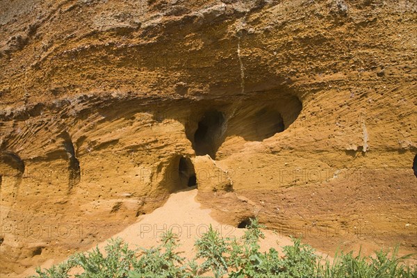 Red crag rock exposed at Buckanay Pit quarry, Alderton, Suffolk, England, United Kingdom, Europe