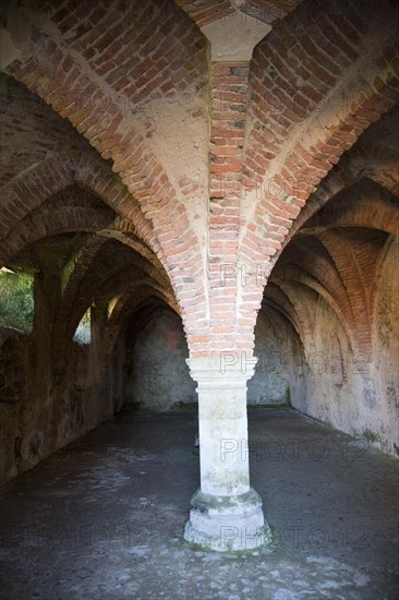 Vaulted roof and pillars in the cellar of the historic Guildhall, Blakeney, Norfolk, England, United Kingdom, Europe