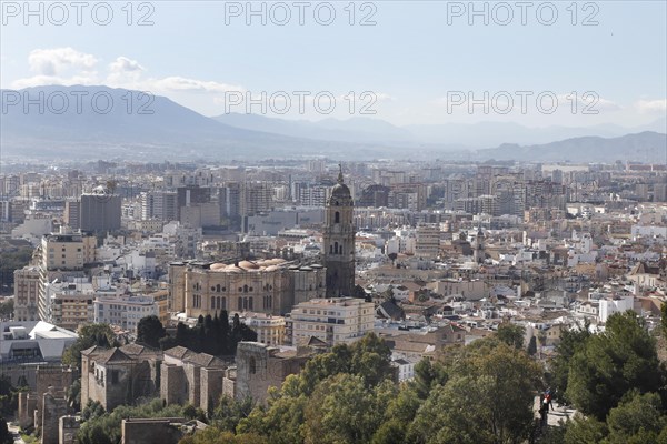 Old town of Malaga and cathedral, 11.02.2019