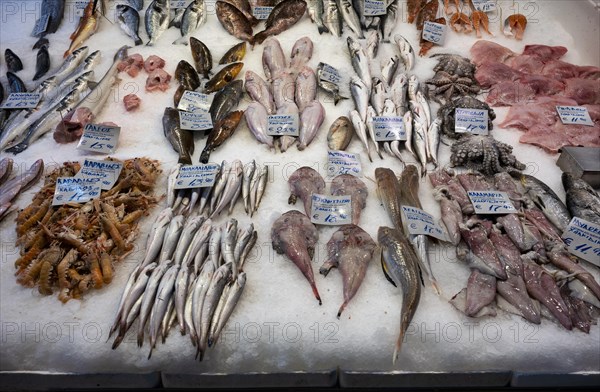 Display of fresh fish and seafood on ice, fishmonger, food, Kapani Market, Vlali, Thessaloniki, Macedonia, Greece, Europe