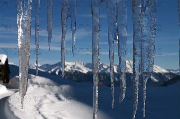 Icicle on a house in the Beverin nature park Park, Graubuenden, Switzerland, Europe