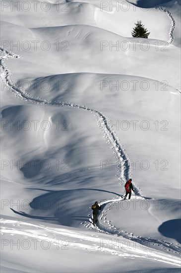 Snowshoe hiking in the Beverin nature park Park, Graubuenden, Switzerland, Europe