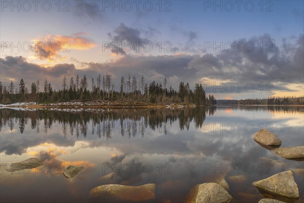 View over the Harz Oderteich in winter, dam, landscape format, evening light, landscape photography, nature photography, lake, rocks, Braunlage, Harz, Lower Saxony, Germany, Europe