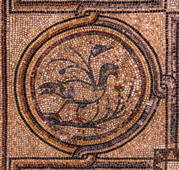 Floor mosaic of the Basilica di Santa Eufemia, Citta vecchia, island of Grado, north coast of the Adriatic, Friuli, Italy, Grado, Friuli, Italy, Europe