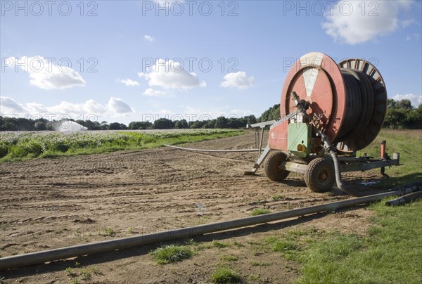 Crop irrigator spraying water on potatoes, Shottisham, Suffolk, England, United Kingdom, Europe