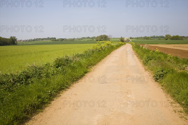 Sandy road through fields, Alderton, Suffolk, England, United Kingdom, Europe