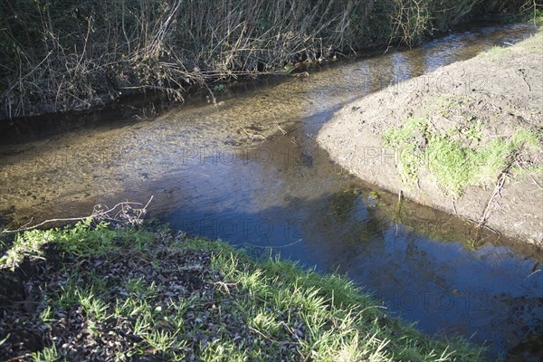 Confluence point of two small streams, Shottisham brook, Suffolk, England, United Kingdom, Europe