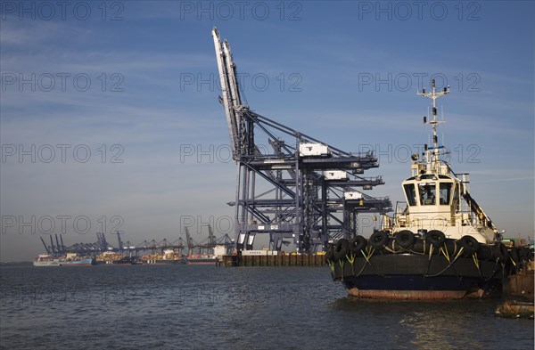 Container cranes on the quayside, Port of Felixstowe, Suffolk, England, United Kingdom, Europe