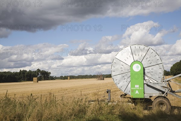 Cumulus clouds in summer blue sky over rural Suffolk Sandlings landscape, Sutton, Suffolk, England, United Kingdom, Europe