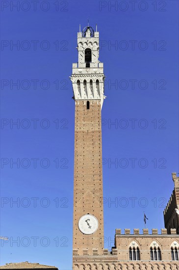 View of the Torre del Mangia bell tower, Siena, Tuscany, Italy, Europe