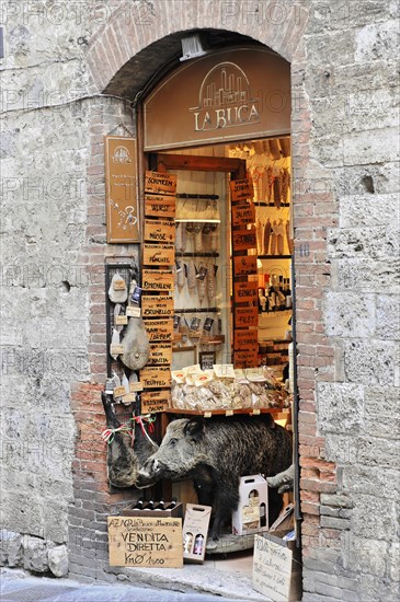 Speciality shop for wild boar ham, as well as for food, souvenirs, medieval town centre, old town of San Gimignano, Tuscany, Italy, Europe