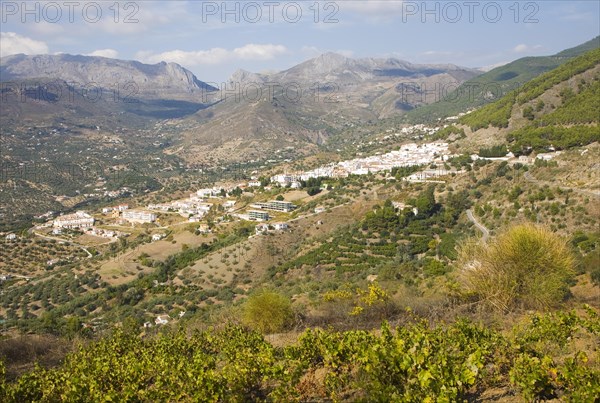 Pueblos Blancos white village of Alcaucin, Malaga province, Spain, Europe