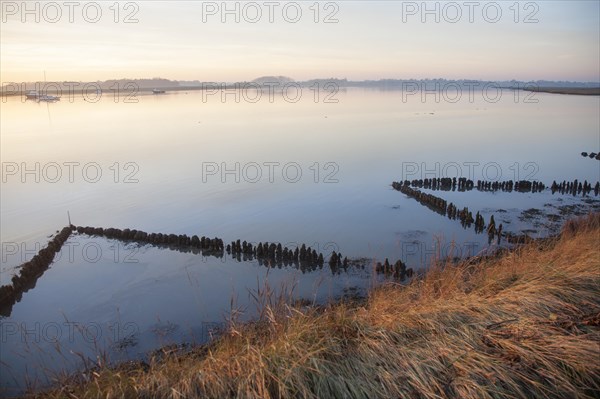 Winter landscape at sunset on the River Deben, Ramsholt, Suffolk, England, United Kingdom, Europe