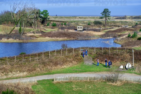 View over the Zwin Nature Park, bird sanctuary at Knokke-Heist and visitors looking through bird blind in late winter, West Flanders, Belgium, Europe
