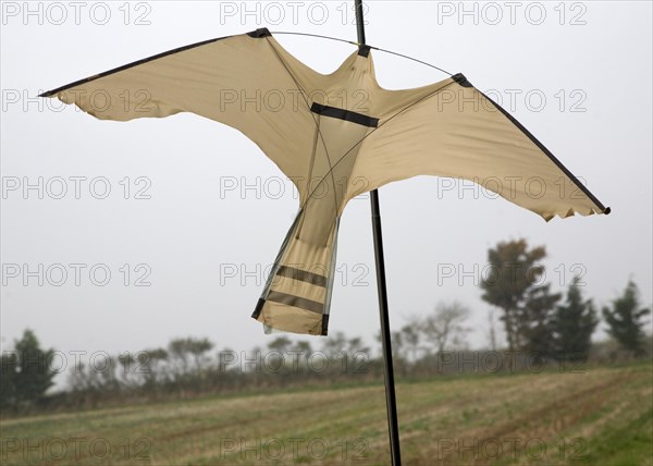 Bird of prey shaped kite bird scarer flying in breeze over farm field, Suffolk, England, United Kingdom, Europe